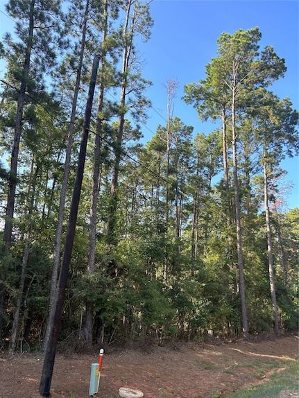 Undeveloped Land for sale in Polk County, Texas