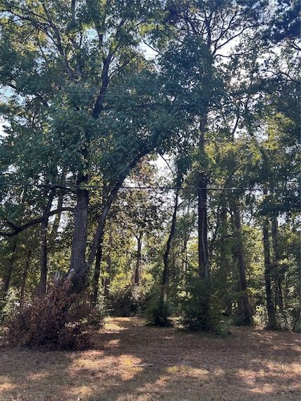 Homesite for sale in Polk County, Texas