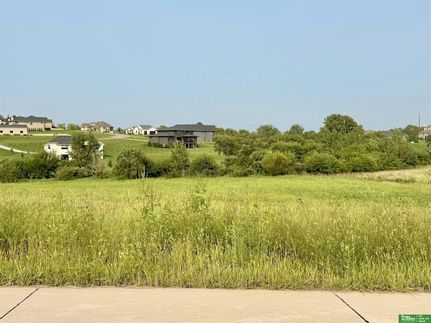 Undeveloped Land for sale in Sarpy County, Nebraska