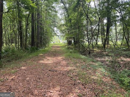 Land for sale in McIntosh County, Georgia