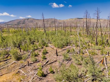 Homesite for sale in Costilla County, Colorado