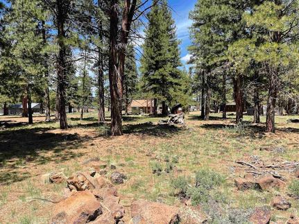 Land for sale in Lassen County, California