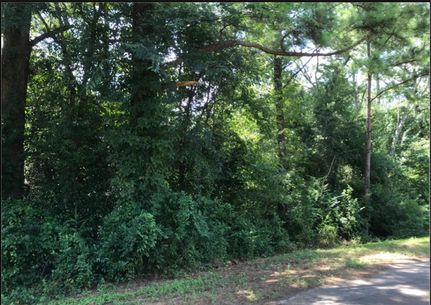 Land for sale in Lee County, Georgia