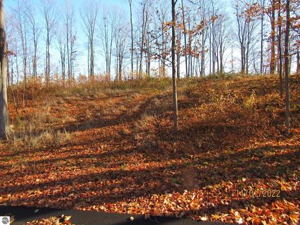 Land for sale in Grand Traverse County, Michigan