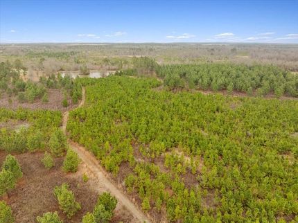 Land for sale in Worth County, Georgia