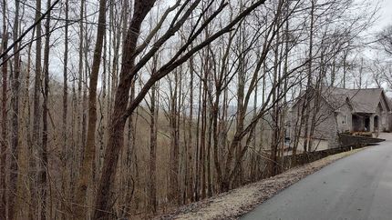 Land for sale in DeKalb County, Tennessee