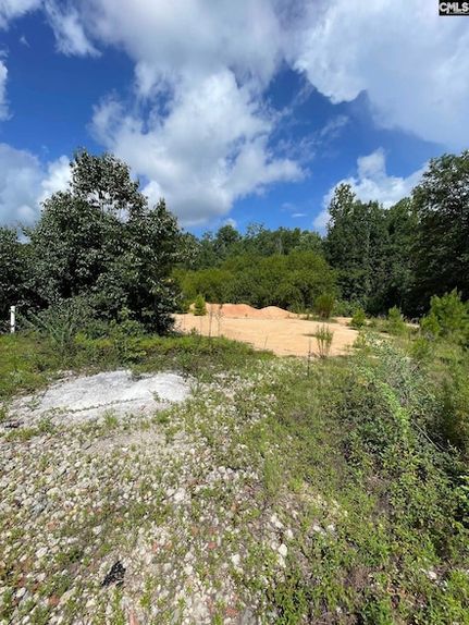 Land for sale in Kershaw County, South Carolina