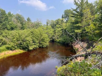 Land for sale in Chippewa County, Michigan