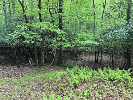 Hunting Property for sale in Monroe County, Pennsylvania