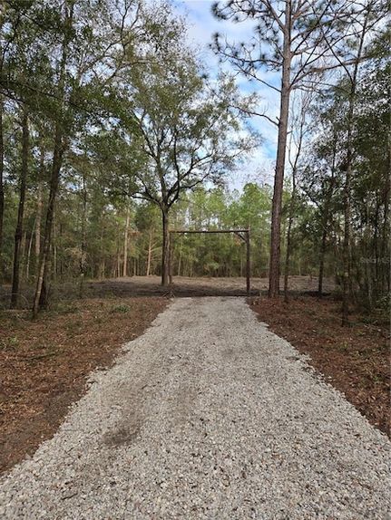 Land for sale in Levy County, Florida