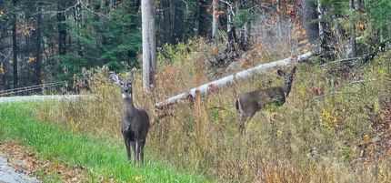 Land for sale in Kennebec County, Maine