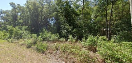 Land for sale in Marion County, Florida