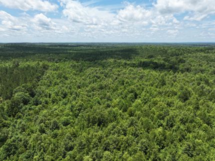 Land for sale in Harrison County, Texas