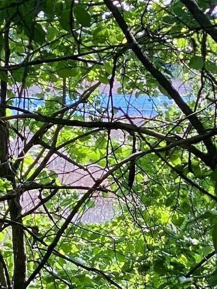 Undeveloped Land for sale in Scott County, Minnesota