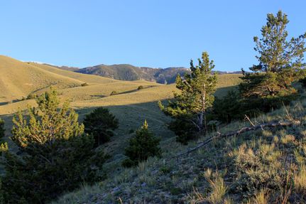 Farm and Ranch for sale in Carbon County, Montana