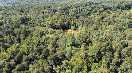 Undeveloped Land for sale in Prince Edward County, Virginia