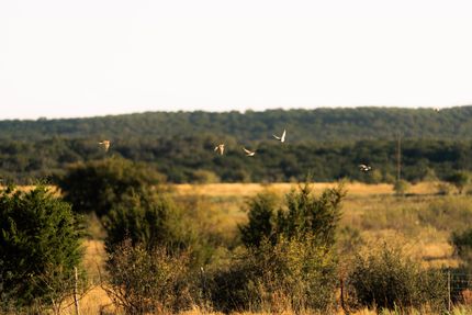 Land for sale in Lampasas County, Texas