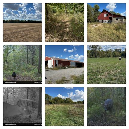 Land for sale in Hendricks County, Indiana