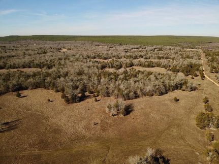 Undeveloped Land for sale in Pushmataha County, Oklahoma