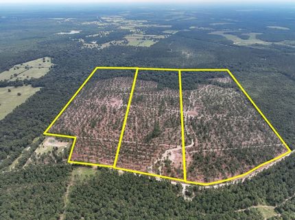 Undeveloped Land for sale in Trinity County, Texas