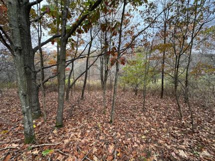 Homesite for sale in Somerset County, Pennsylvania