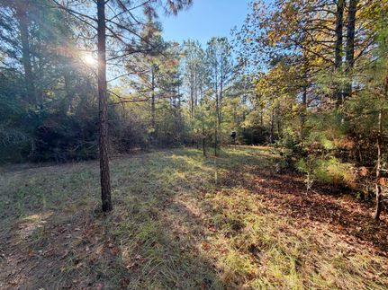 Land for sale in Covington County, Alabama