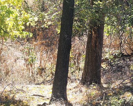 Farm and Ranch for sale in Donley County, Texas