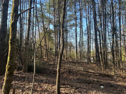 Homesite for sale in Jackson County, Alabama