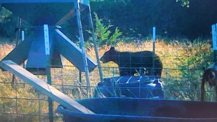 Farm and Ranch for sale in Edwards County, Texas