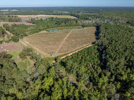Land for sale in Mitchell County, Georgia