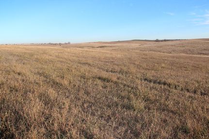 Land for sale in Tripp County, South Dakota