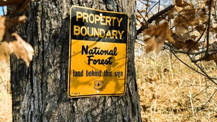 Land for sale in Lee County, Arkansas