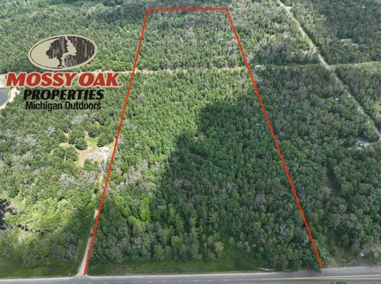 Land for sale in Lake County, Michigan