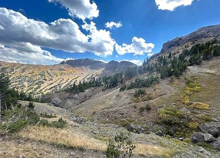 Farm and Ranch for sale in Park County, Wyoming