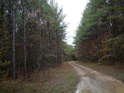 Timberland Property for sale in  , Tennessee