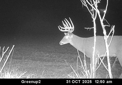 Timberland Property for sale in Cumberland County, Illinois