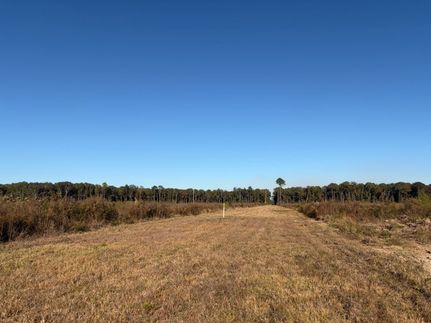Land for sale in Morehouse Parish, Louisiana