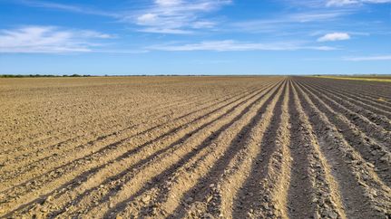 Land for sale in Jackson County, Texas