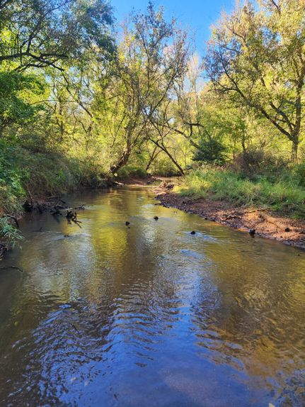 Land for sale in Monroe County, Georgia