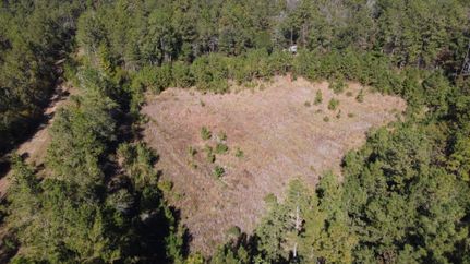 Land for sale in Beauregard Parish, Louisiana