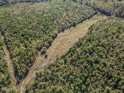 Farm and Ranch for sale in Amite County, Mississippi