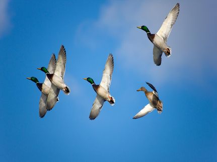 Farm and Ranch for sale in Jefferson County, Arkansas