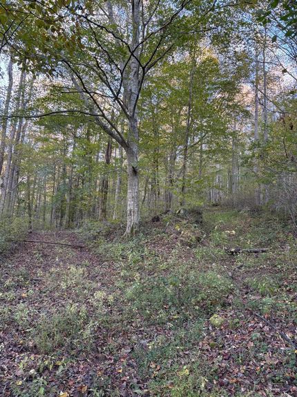 Timberland Property for sale in Putnam County, Tennessee