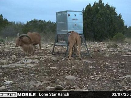 Farm and Ranch for sale in Edwards County, Texas