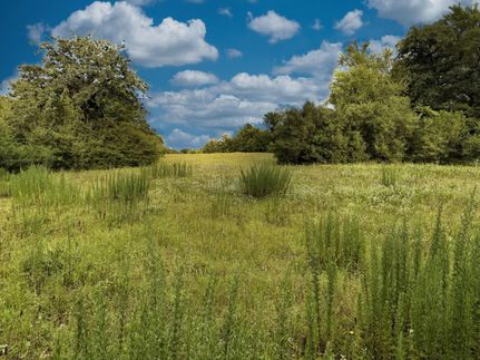 Land for sale in Robertson County, Texas