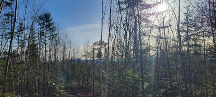 Land for sale in Hancock County, Maine