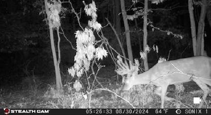 Farm and Ranch in Carbon County, Pennsylvania