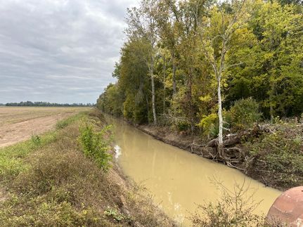 Timberland Property for sale in Catahoula Parish, Louisiana