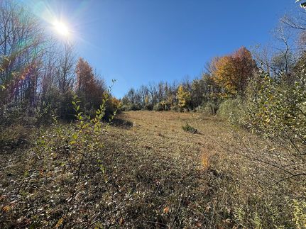 Land for sale in Wayne County, New York