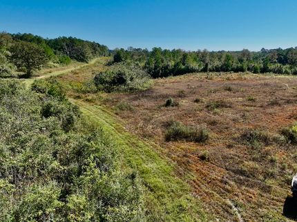 Land for sale in Marion County, Mississippi